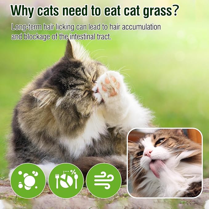 100g/3.52oz Cat Grass Treats, Cat Grass Teething Stick for Hairball Remove and Teeth Cleaning, Edible Cats-Grass Stick Snack