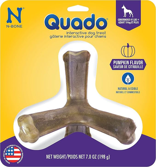 N-Bone Nbone 115097 Quado in Pumpkin, Large (575174)