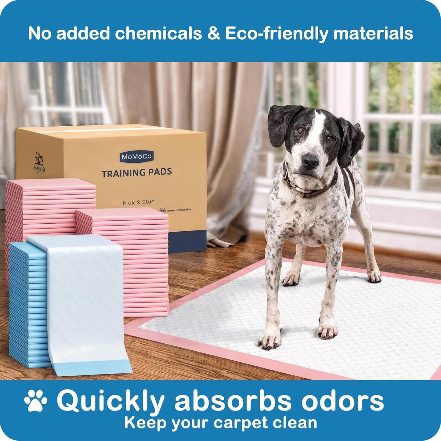 MoMoCo Value Pack Puppy Training Pads 23"x23", 200 Count (Blue100 + Pink100) – Leak-Proof & Super Absorbent Potty Pads for Dogs, Cats & Rabbits