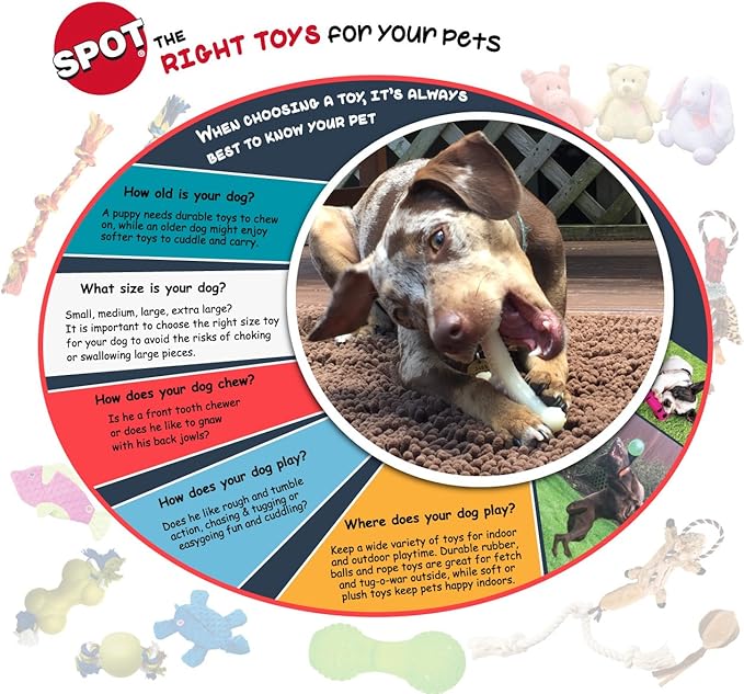 SPOT Skinneeez Chicken 13 Inch Stuffing-Free Plush Squeaky Dog Toy – Soft Interactive Chew Toy for Small and Medium Dogs – Mess-Free Play for Light & Moderate Chewers