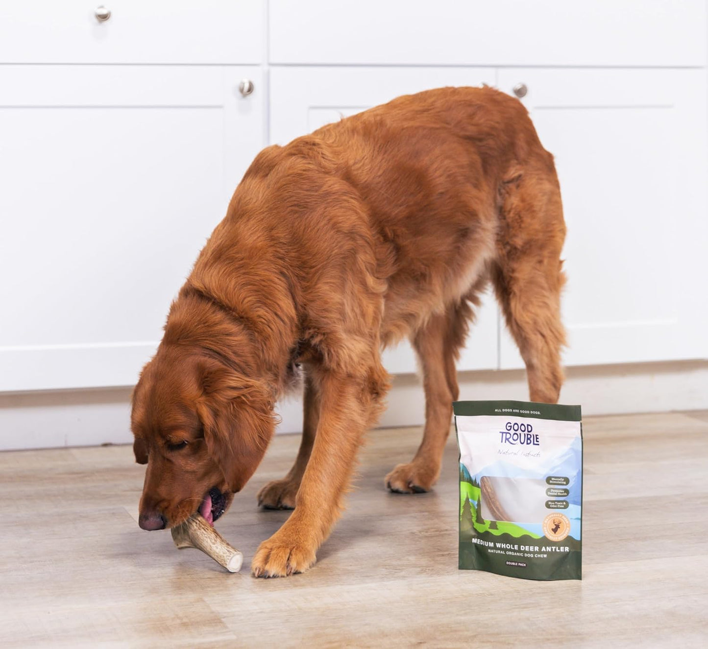 Good Trouble Premium Deer Antlers for Medium Dogs – 2 Whole Antlers Pets - North American Sourced for Dental Health & Anxiety Relief - Odor-Free & Non-Toxic Chew Bone for Dogs