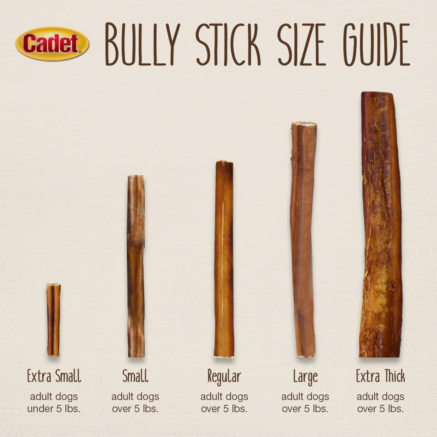 Cadet Bully Sticks for Small Dogs – All-Natural Beef Pizzle, High Protein, Low Fat, Long-Lasting, Grain & Rawhide-Free Dog Chews for Aggressive Chewers, Small (12 Ounce)