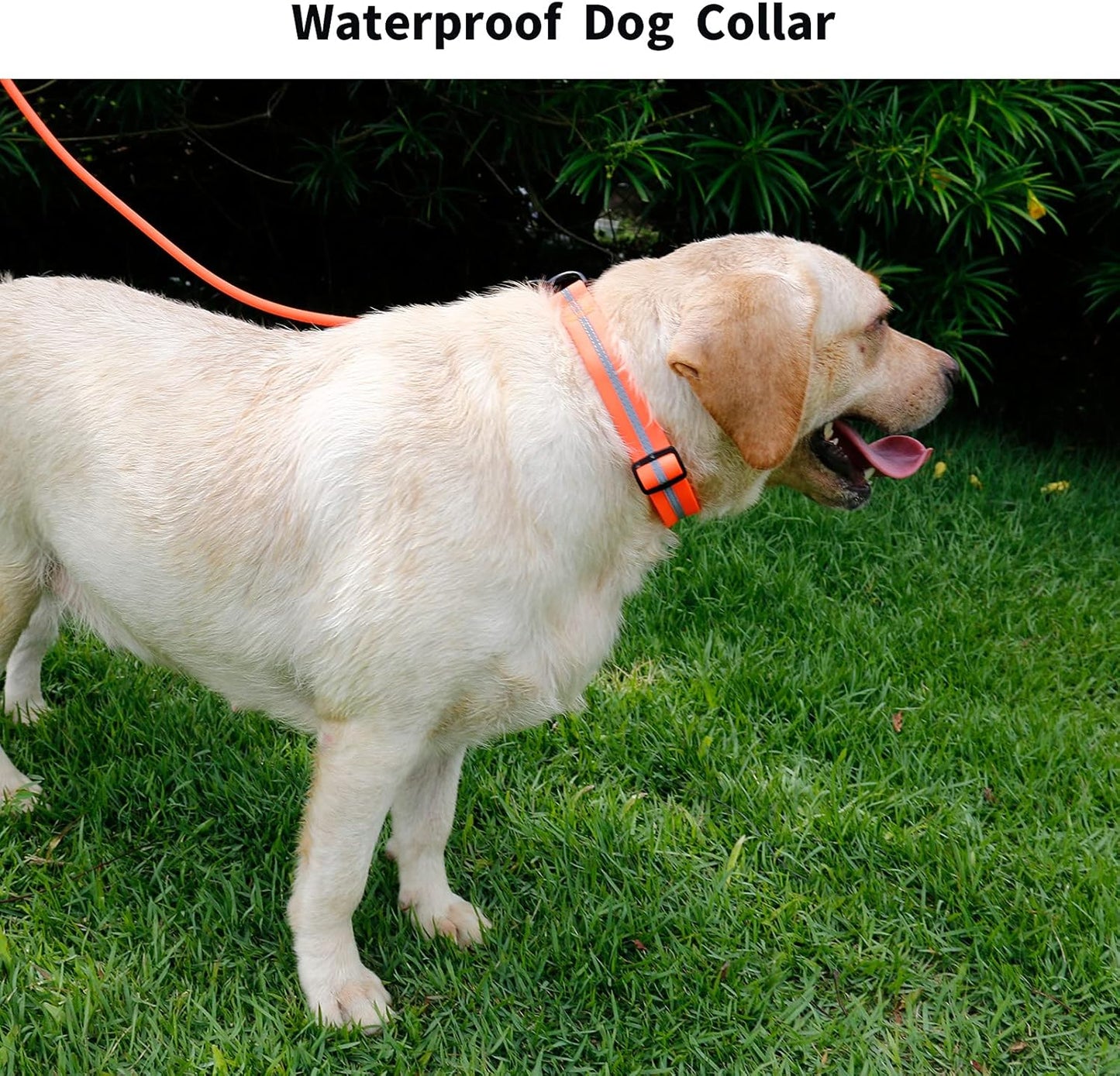 NIMBLE Dog Collar Waterproof Pet Collars Anti-Odor Durable Adjustable PVC & Polyester Soft with Reflective Cloth Stripe Basic Dog Collars S/M/L Sizes (Large (15.35”-24.8”inches), Orange)