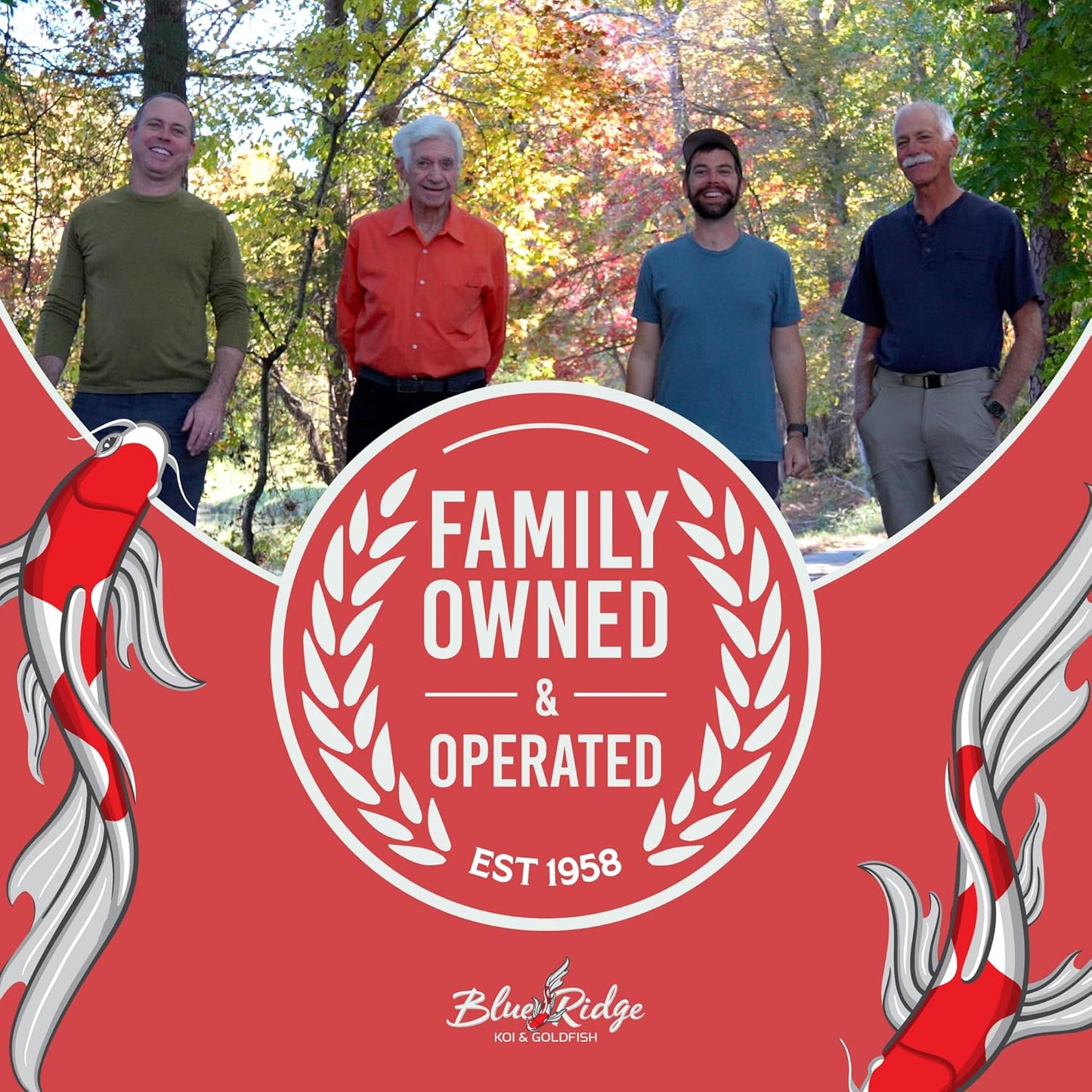 Blue Ridge Koi Fish Food 50lb - Platinum Pro Formula Goldfish Food, Premium Pond Pellets