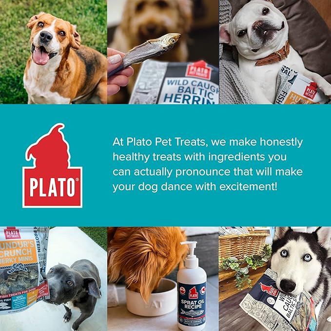 PLATO Hundur's Crunch Jerky Fingers 3.5oz, Natural