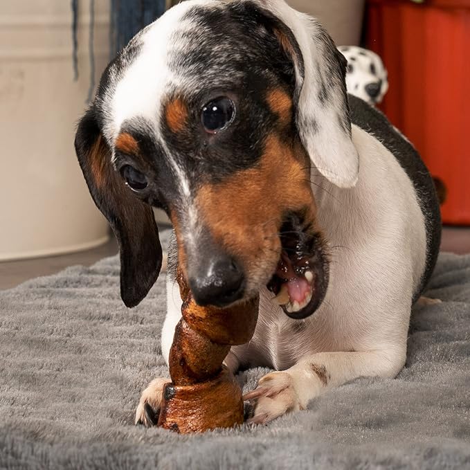 Pet Factory 100% Made in USA Beefhide 4" Knotted Bones Dog Chew Treats - Beef Flavor, 18 Count/1 Pack