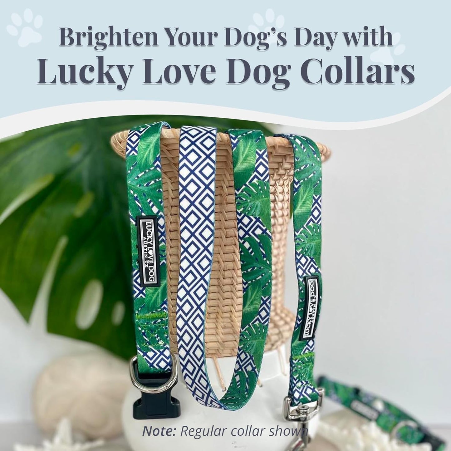 Lucky Love Dog Collar, Beautiful & Vivid Pattern Small Boy Dog Collars, Easy On & Off Clasp Accessory (Blue Laguna, S)