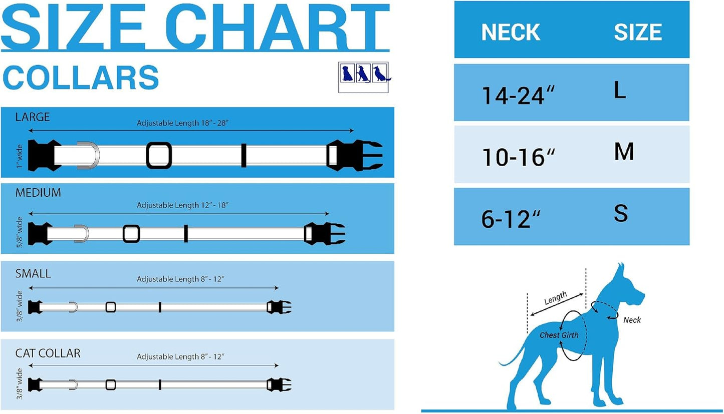 COLLEGE NEBRASKA CORNHUSKERS Dog Collar, Medium (NE-3036-MD)