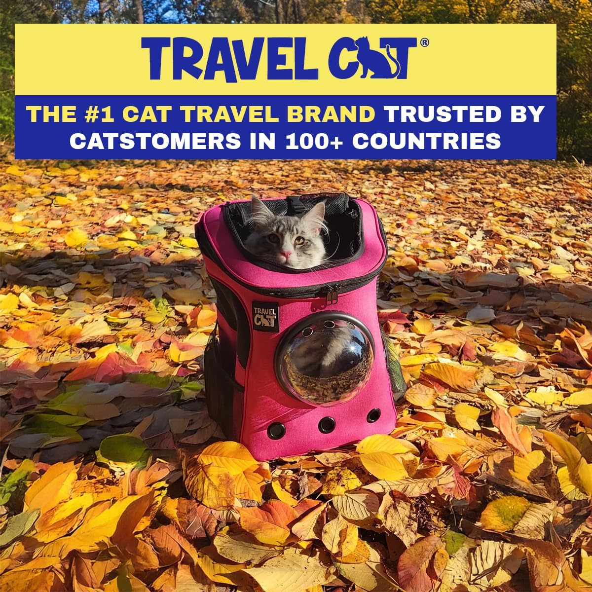 Fat Cat Backpack Carrier - Airline Approved Cat Carrier with Space Capsule Bubble for for Small Cats, Kitten - Premium Deep Rose Pink Cat Carrier Backpack for Outdoor, Travel, Hiking, Pet Supplies