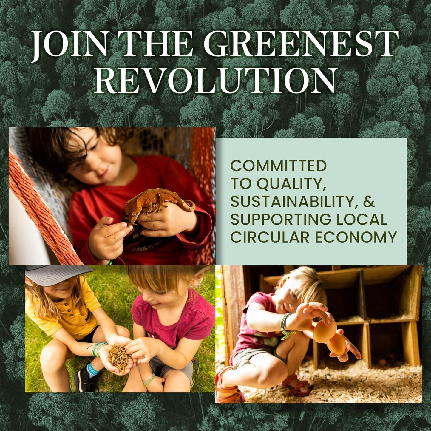 Dried Black Soldier Fly Larvae for Chicken - Treats for Hens, Duck, Wild Birds, Lizard, Tortoise, Fish - All Natural High Protein Dried Mealworms Alternative - Made in North America