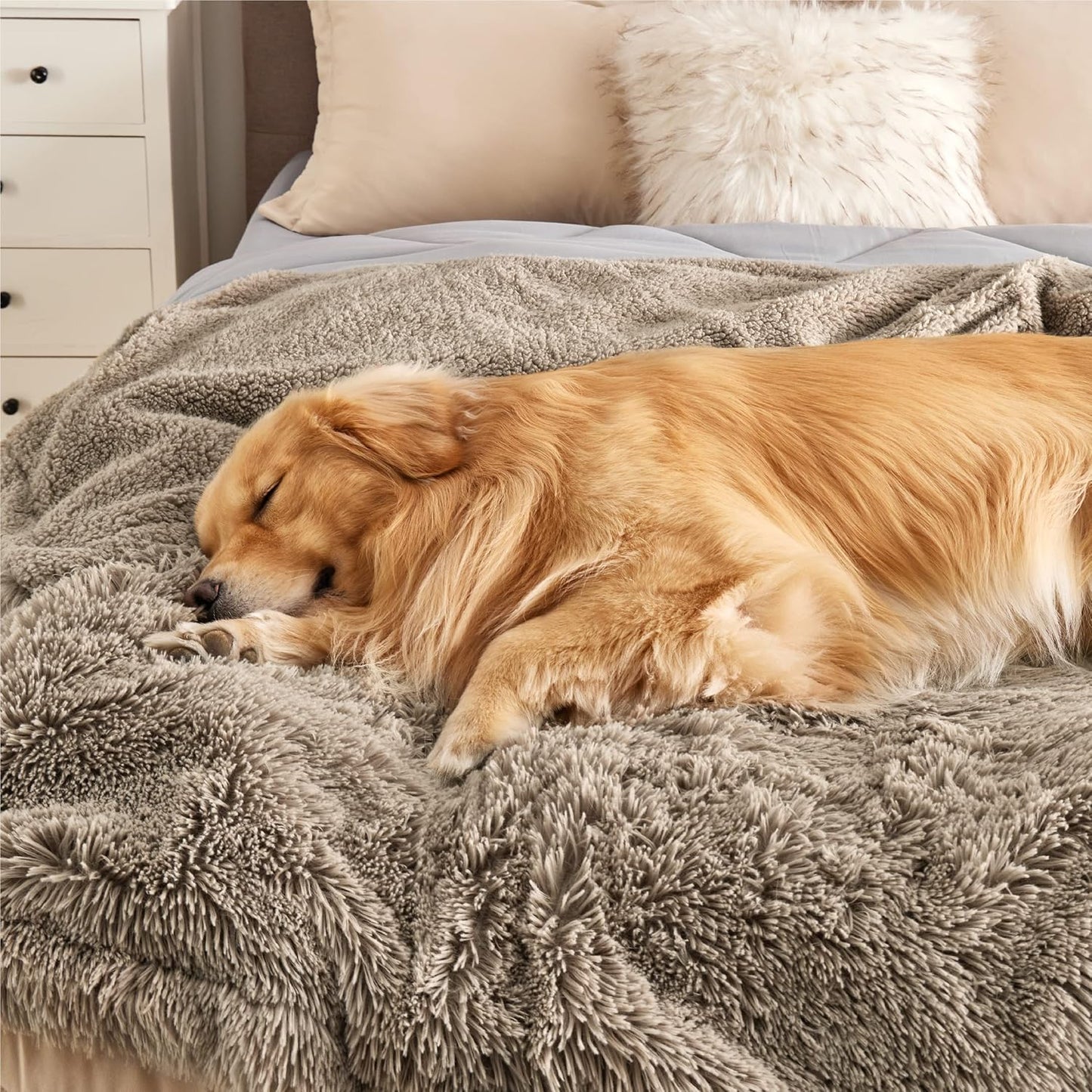 Bedsure Waterproof Dog Blankets for Large Dogs - Calming Cat Blanket for Bed Couch Protector Washable, Long Faux Fur Pet Throw Blanket for Puppy, Reversible Furniture Protection, 60"x80", Brown