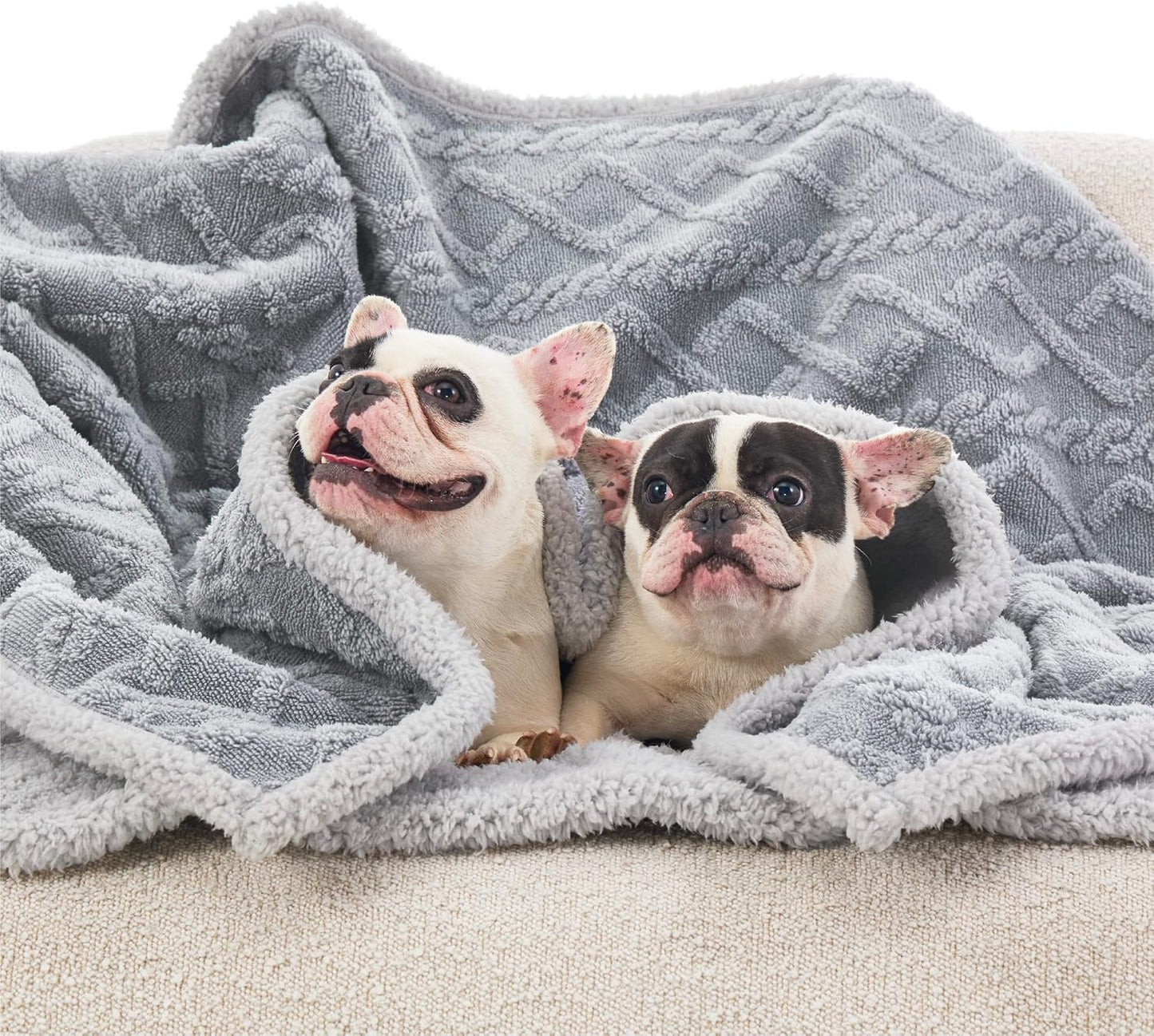 Bedsure Waterproof Dog Blankets for Large Dogs - Pet Blanket for Bed Couch Protector Washable, Premium Jacquard Coral Fleece Cat Throw Blanket, Soft Plush Reversible Furniture Protection, 60x80, Grey