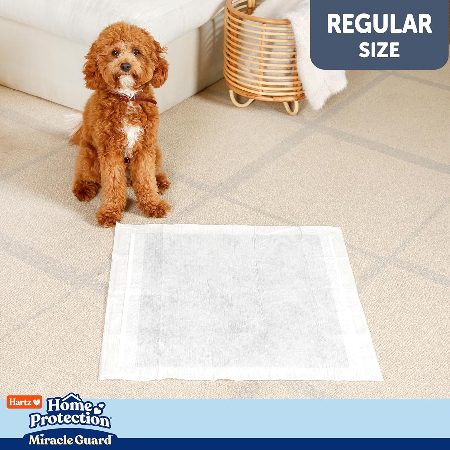New! Hartz Home Protection Miracle Guard Dog Pads, Regular Size 25 Count, 3X Absorbency & 3X Longer use, Won't Leak and Odor Eliminating