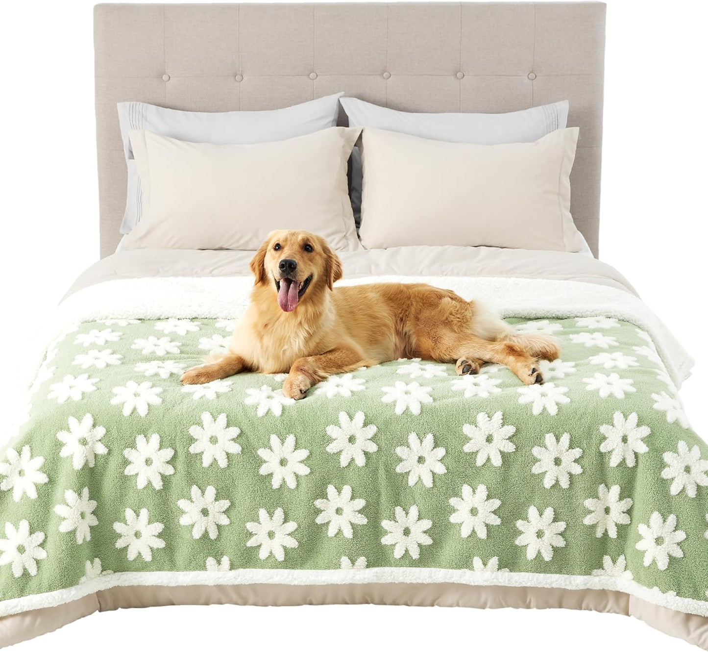 Lesure Waterproof Dog Blanket for Large Dogs - Washable Double Sided Dog Blankets with Warm Jacquard Shag and Soft Sherpa Fleece, Pet Cat Blanket for Bed Protection, 3D Textured Cloud, Green