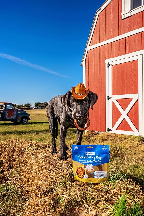N-Bone Puppy Teething Rings Taste of Texas Chicken Fajitas Flavor 3 Count