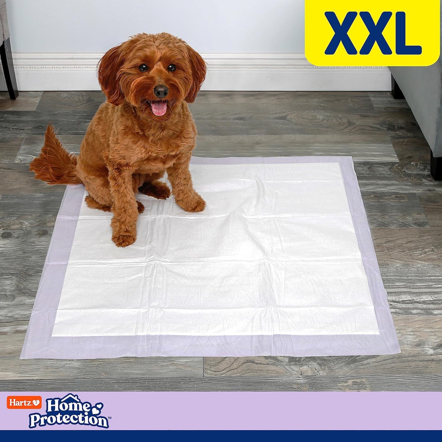 Hartz Home Protection Lavender Scented Dog Pads, XXL 20 count, Super Absorbent & Won't Leak, Odor Eliminating