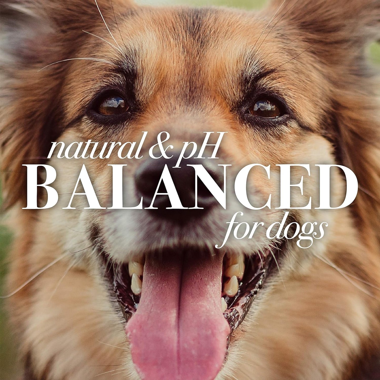 Burt's Bees for Pets Hot Spot Spray with Apple Cider Vinegar and Aloe Vera, 95% Natural Origin Formulas, Dog Spray for Itchy Dogs, Dog Spray Itchy Skin Relief, 2pk 10oz