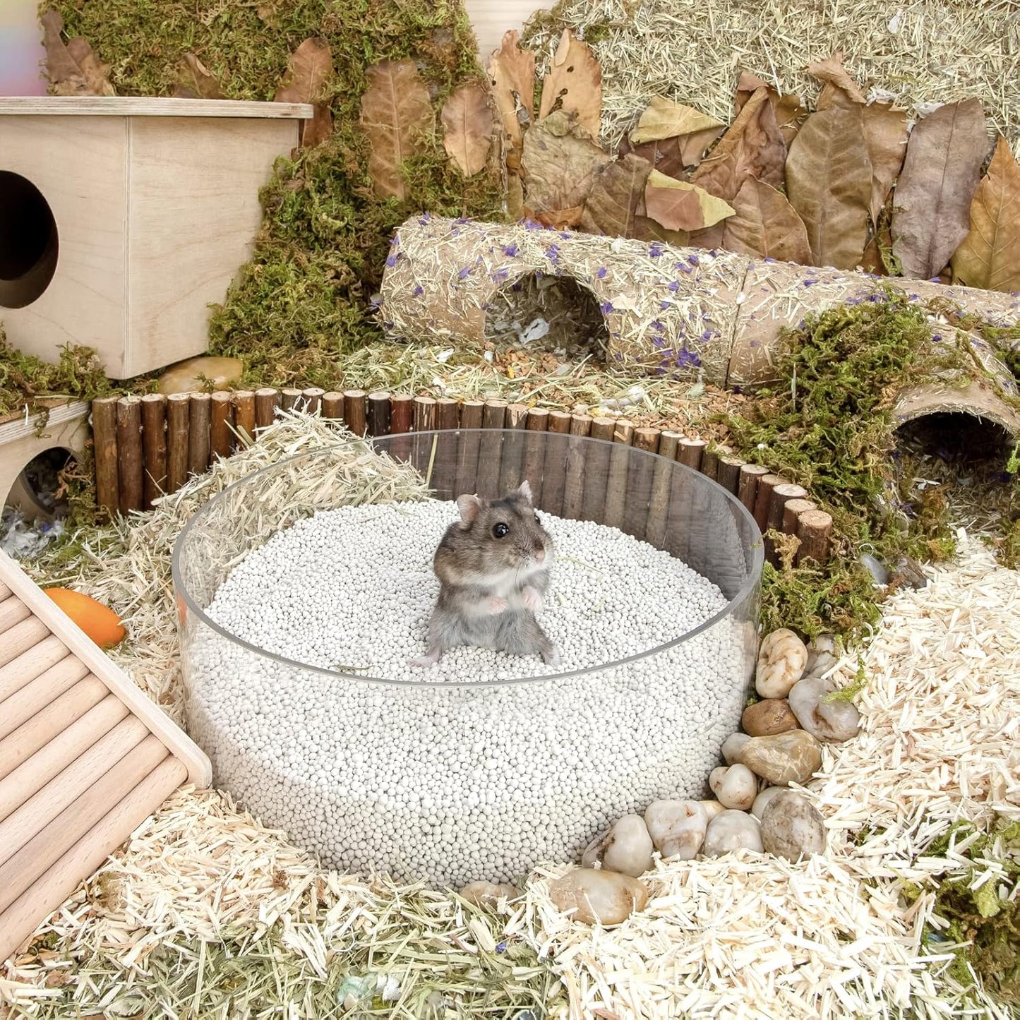 Niteangel Training Litter Potty Sand - Hamster Sand Bath for Syrian Dwarf Hamsters Gerbils Mice Lemming Degus or Other Small-Sized Pets (1.4 L x 2 - Purple Label)