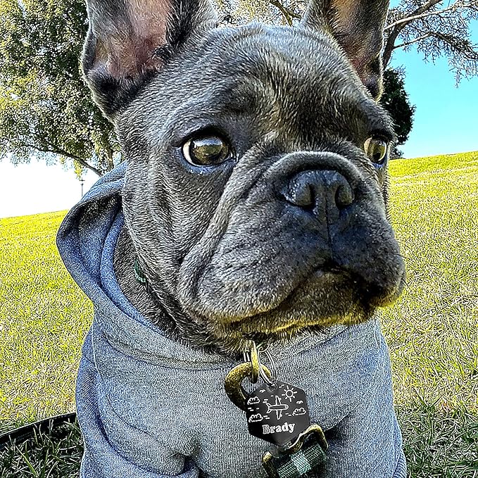 Personalized Dog Tag with 5 Lines of Custom Deep Engraved Durable Stainless Steel Pet ID Name Tag Designer Regular Size Hexagon