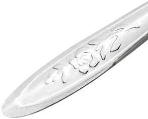 LILYS PET 4.7" Bird Parrot Stainless Steel Metal Feeding Spoon,Special Feeding Scoop Medicine Spoons Hand Feeding Spoons for Peony Cockatiel Parrot (3PCS)