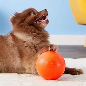 Jolly Pets Bounce-n-Play Dog Toy Ball, Orange, 4.5 Inches/Small, Model Number: 2545 OR