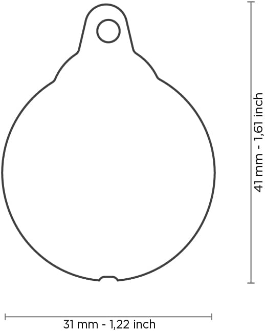 My Family Personalized Pet ID Tag Made in Italy, Big Ladybug, Free Engraving, Hand Enamelled in Metal, Charms Collection, 31X41 Mm