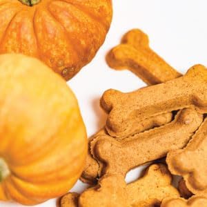 Activa 2lb Pumpkin Gourmet Dog Biscuits | Crunchy Dog Treats | (Medium, Pumpkin)
