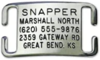 Boomerang Tags Dog Tag - Lasts Your Pets Lifetime - Personalized Dog Tags, Engraved Dog Tag, No Jingle Durable Curved Stainless Steel, Custom Dog Tags (Open End Small for 5/8 Inch Snap Style Collar)