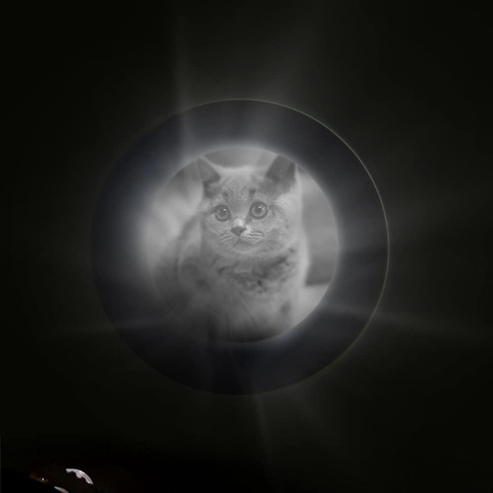 Custom Dog Paw Print Photo Projection Necklace 925 Sterling Silver Personalized Dog Photo Necklace Pet Picture Pendant Memorial Jewelry Loss of Pet Gifts for Women Someone Who Lost Dog