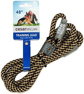 Cesar Millan Slip Lead Leash™ - 2-in-1 Slip Collar Dog Training Lead & Collar | Heavy Duty Durable Weatherproof Rope Leash, No Pull Training | Length 4ft Diameter 4/10”(Regular, Black/Tan)