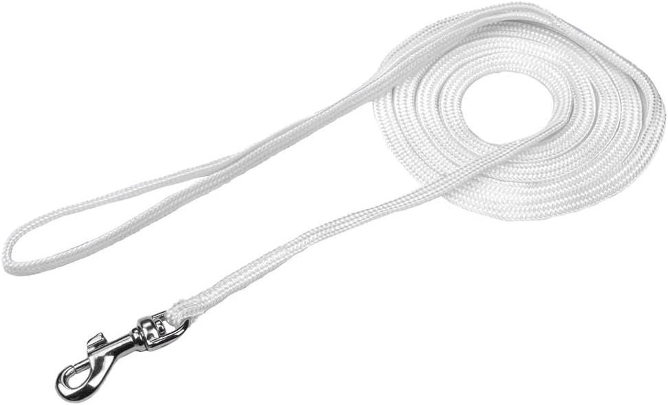 Alvalley Show Snap Dog Leash – Braided Nylon Dog Training Leash with Durable Snap Clips - Suitable for Showing, Training, and Walking - Perfect for Small, Medium, and Large Pets