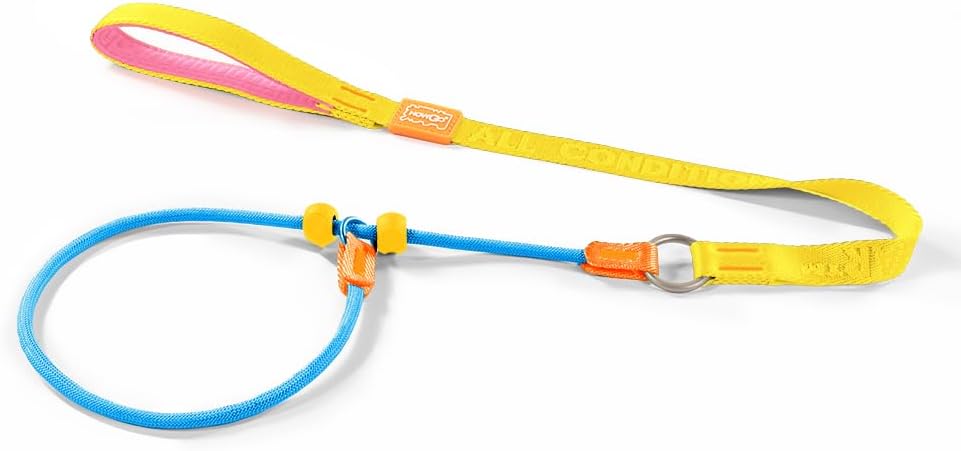 Howgo Dog Slip Lead Dog Leash, Training Lead, No-Pull Slip Leash and Collar, Heavy Duty & Durable Nylon, Padded Handle, for All Breeds (Multicolor, 3.6FT)