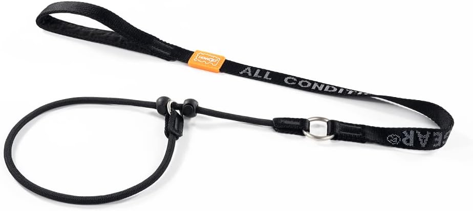 HOWGO Dog Slip Lead Dog Leash,Training Leash, No-Pull Slip Leash and Collar,Heavy Duty&Durable,Padded Handle,for All Breeds(Black, 3.6FT)