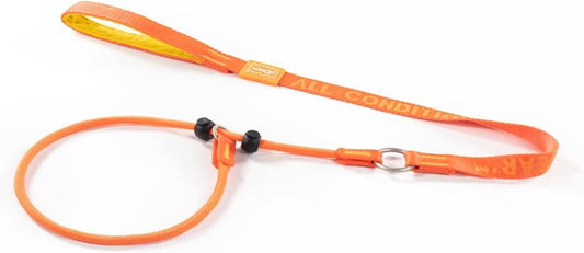 Howgo Dog Slip Lead Dog Leash, Training Lead, No-Pull Slip Leash and Collar, Heavy Duty & Durable Nylon, Padded Handle, for All Breeds (Orange, 3.6FT)