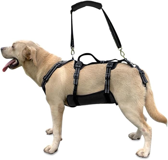 Coodeo Dog Lift Harness, Support & Recovery Sling, Pet Rehabilitation Lifts Vest Adjustable Breathable Straps for Old, Disabled, Joint Injuries, Arthritis, Paralysis Dogs Walk (Black,L)