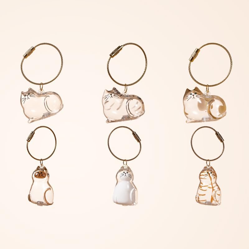 6 Pack Cat Hair Storage Keychain - Transparent Cat Fur Keepsake Capsule Pendant Keychain, Pet Hair Storage Bottle Container, Pet Lover Collecting Gift