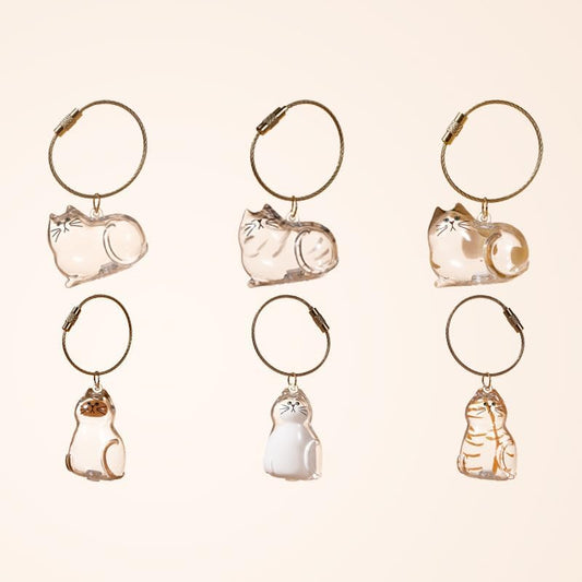 6 Pack Cat Hair Storage Keychain - Transparent Cat Fur Keepsake Capsule Pendant Keychain, Pet Hair Storage Bottle Container, Pet Lover Collecting Gift