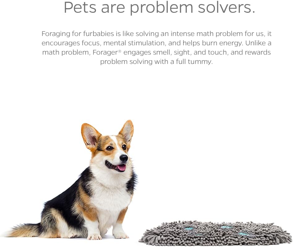 Pet Parents Forager Snuffle Mat with SoftSnout & Non-Slip Backing, Slow Feeder for Large & Small Dogs (Meadow 12")