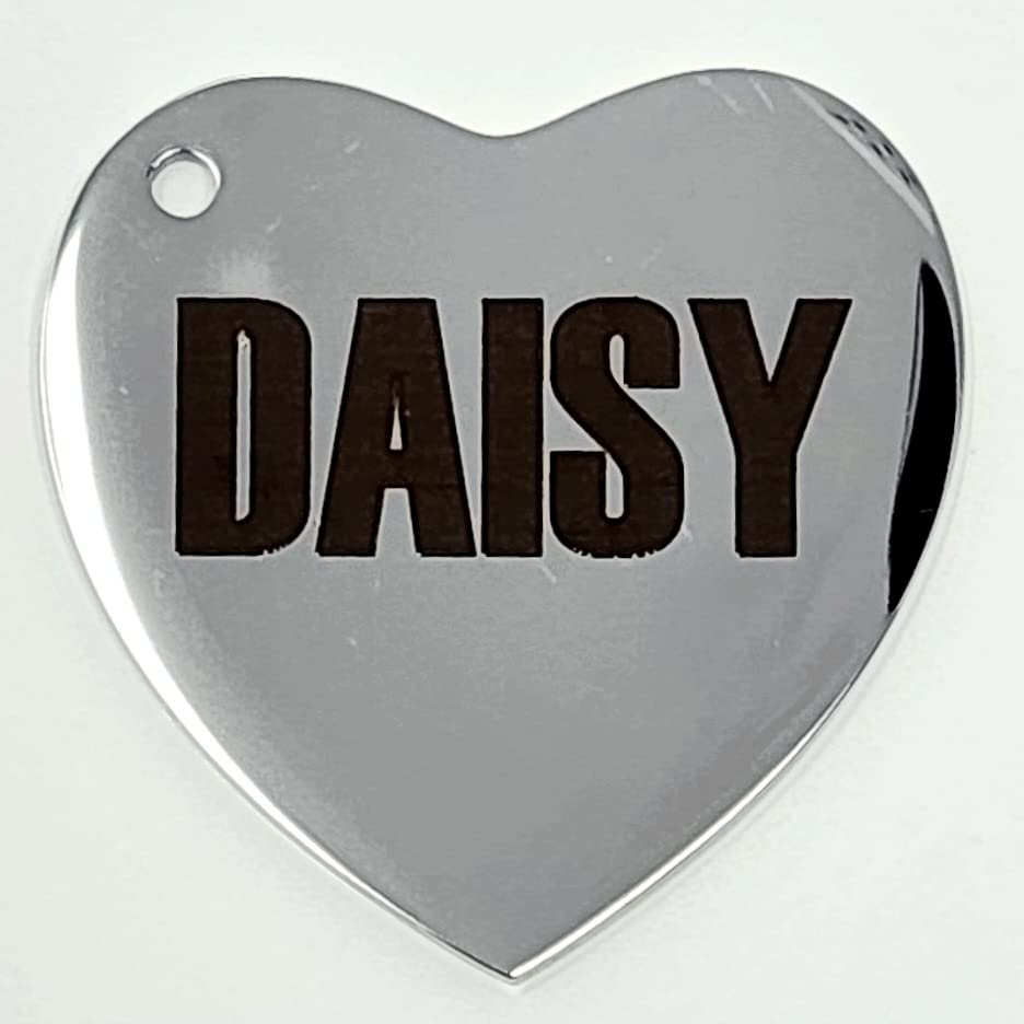 Dr. Fremont's Stainless Steel ID Dog Tags Engraved for Pets Personalized for Cat or Dog Collar Bold Font for Safety (Large, Diamond)