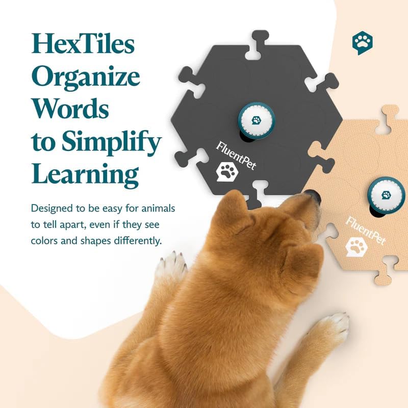 FluentPet Speak Up! Tester Kit - Set of 2 Dog Talking Buttons with Pre-Installed Batteries & 2 HexTiles -| Pet Buttons for Communication