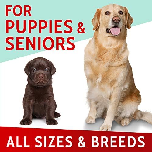 PAWFECTCHEW Green Lawn Chews for Dogs - Green Grass Chews - Urine Neutralizer Grass Burn Spots - Lawn Burn from Dog Urine - Probiotics & Enzymes - Made in USA - Bacon Flavor - 240 Lawn Saver Chews