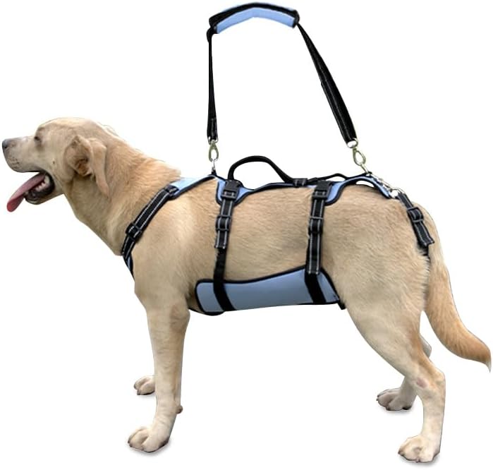 Coodeo Dog Lift Harness, Full Body Support & Recovery Sling, Pet Rehabilitation Lifts Vest for Old Dog with Arthritis Walk(Bule,XL)