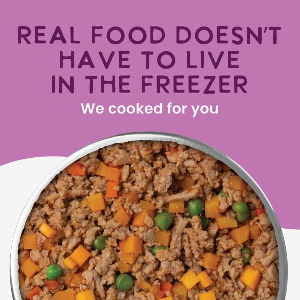 Health Extension Gently Cooked Grain-Free Salmon Dog Food, Human-Grade & Shelf-Stable with Superfoods, Supports Digestion, Immunity, Skin & Coat, 3 oz Pouch (Pack of 20)