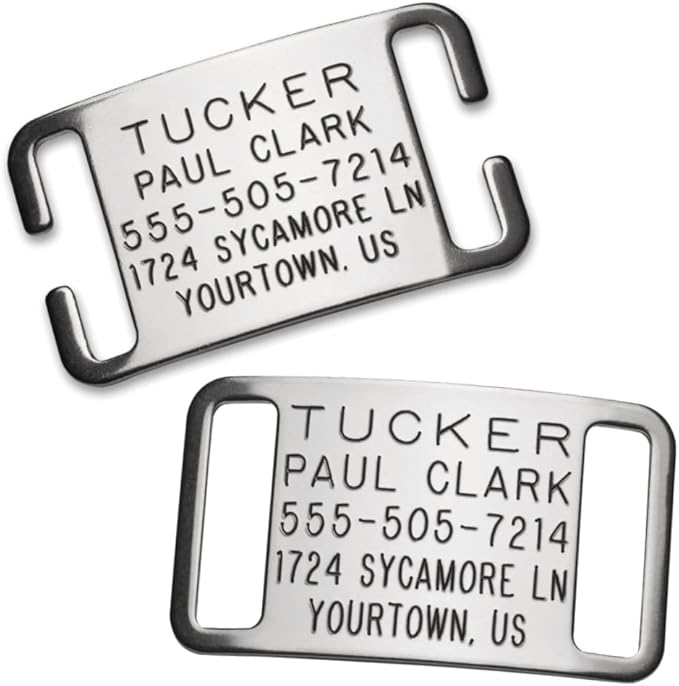 Boomerang Tags Dog Tags Engraved for Pets - Lasts Your Pets Lifetime - Silent Pet Tag, Dog Name Tag Personalized, Durable Stainless Steel Custom ID (Open End Large for 1 Inch Snap Style Collars)