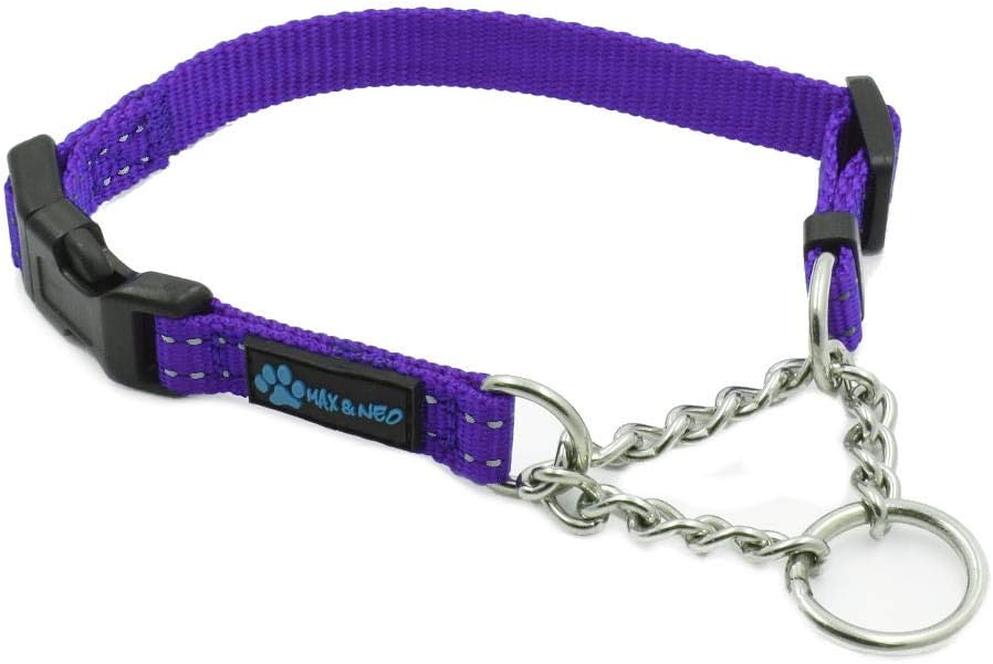 Max and Neo Stainless Steel Chain Martingale Collar - We Donate to a Dog Rescue for Every Collar Sold (X-Small, Purple)