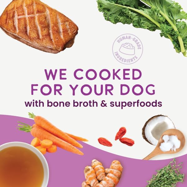 Health Extension Gently Cooked Grain-Free Duck & Kale Dog Food, Human-Grade & Shelf-Stable with Superfoods, Supports Digestion, Immunity, Skin & Coat, 9 oz Pouch (Pack of 5)