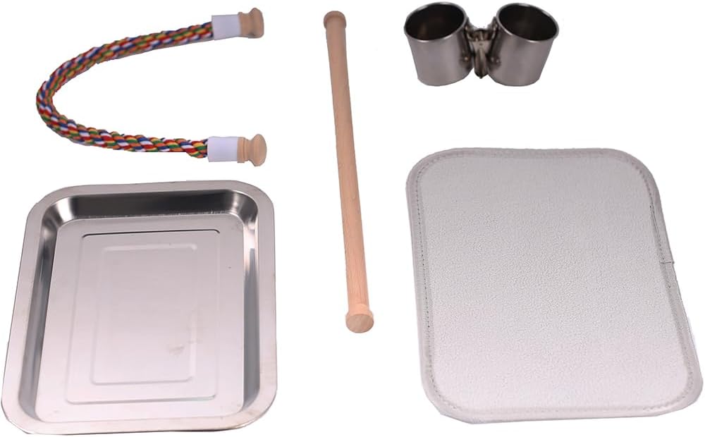 Bird Traval Carrier Cage, Multi Vent Holes Clear Space Capsule Astronaut Backpack to Carry Parakeet Cockatiel Parrot with Metal Tray Wood Perch, Vet Transport Book Bag