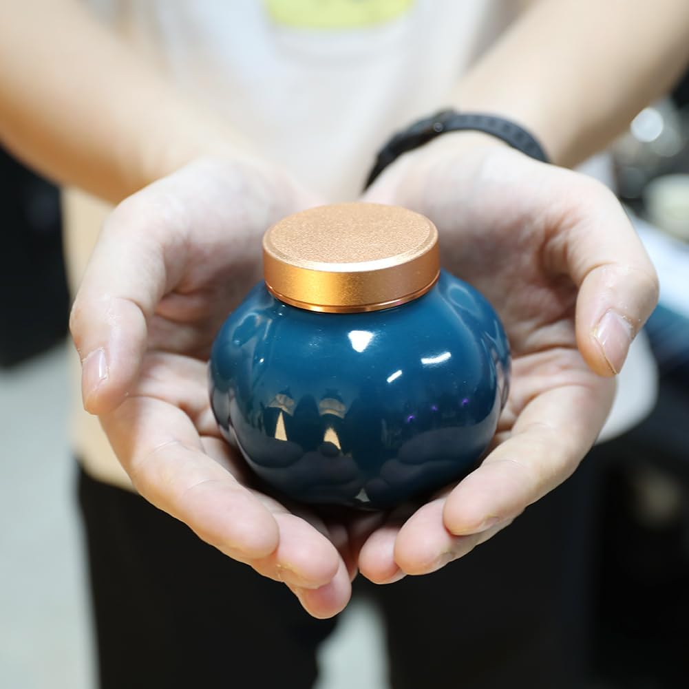 Fermus Memorial Pet Ashes Urn for Small Animal, Ceramics Memorial Keepsake Urns for Cats and Dogs, Hold 5.4 oz (160ml), Ceramics with Metal Lid (Pumpkin Shape Forest Green)