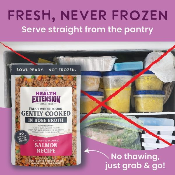 Health Extension Gently Cooked Grain-Free Salmon Dog Food, Human-Grade & Shelf-Stable with Superfoods, Supports Digestion, Immunity, Skin & Coat, 3 oz Pouch (Pack of 10)