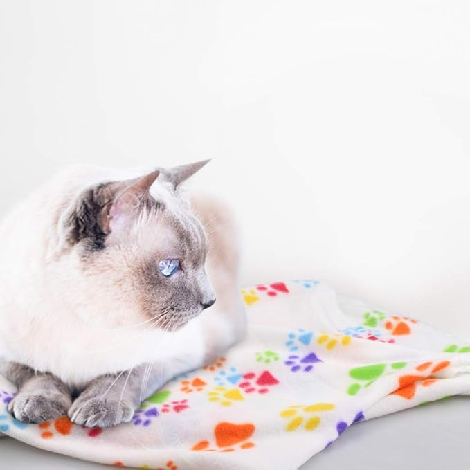 Comsmart Dog Blankets for Small Dogs, 6 Pack Puppy Blanket Cute Paw Print Pet Blanket for Dog, Puppy, Cat, Kitten, 24x28 inches, White